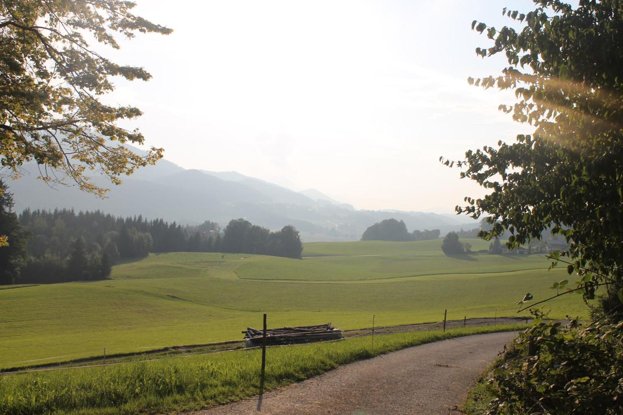Leitingerhof Villa Thalgau Bagian luar foto