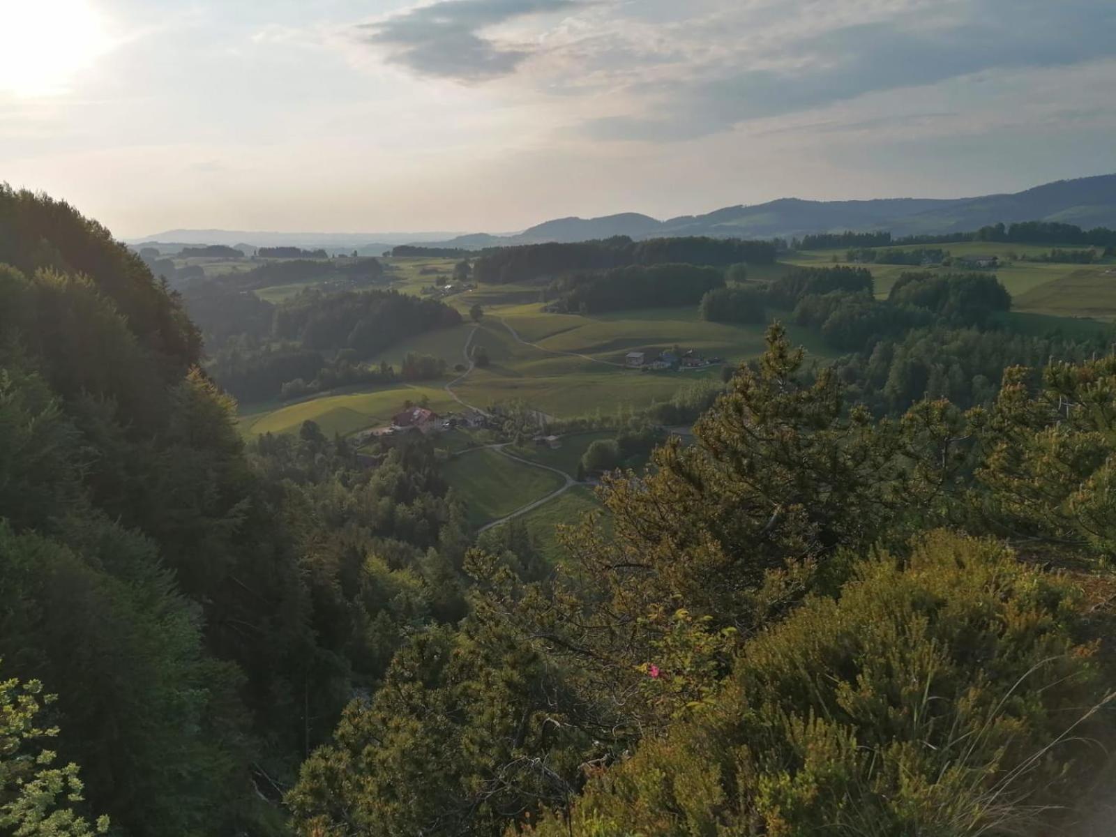 Leitingerhof Villa Thalgau Bagian luar foto